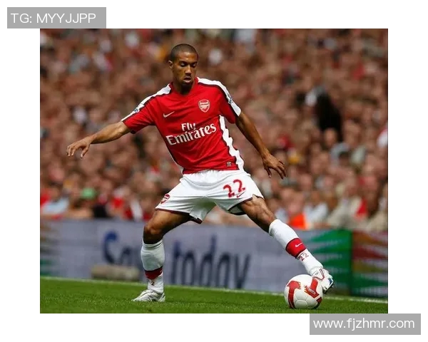 探索盖尔足球的魅力与文化传承：从传统到现代的演变之路